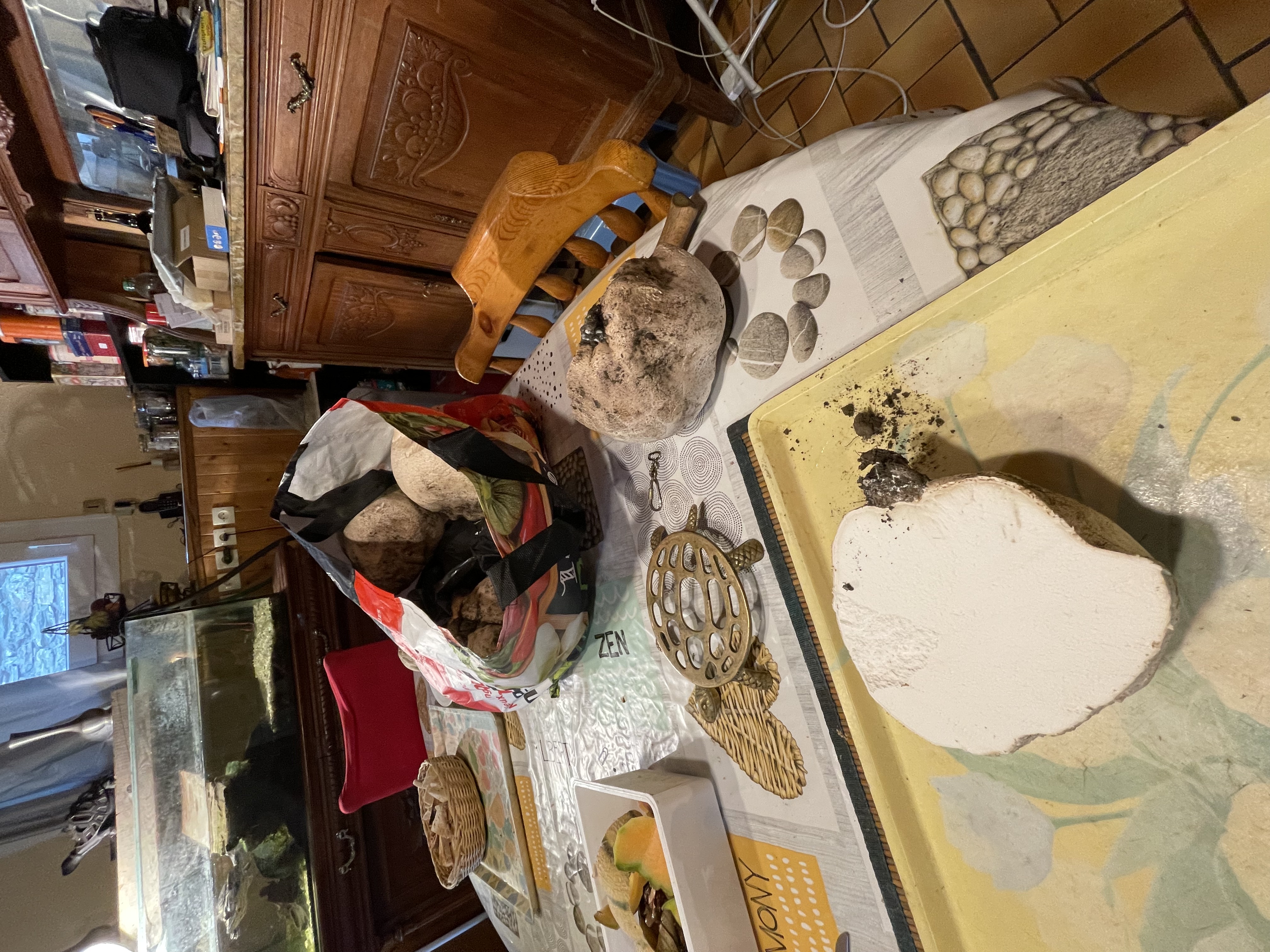 Les Vesses de Loup 
